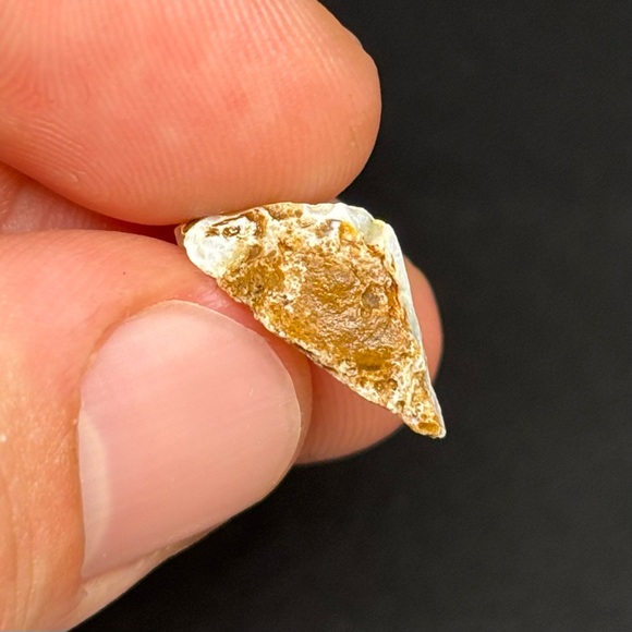 Very Colorful Zebra Striped Lambina Opal Specimen With Multicolored Bars - Picture 6 of 8